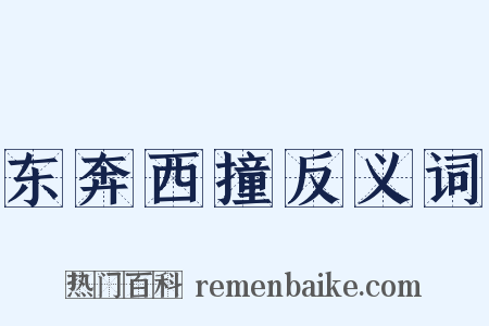 东奔西撞反义词是什么意思的图片